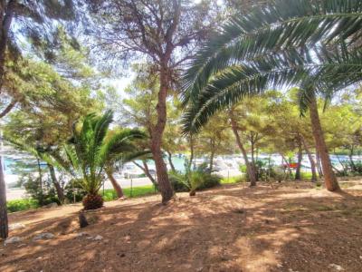 Einzigartige Investmentgelegenheit in Santa Ponsa – 2 Grundstücke mit Villa