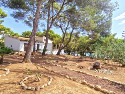 Einzigartige Investmentgelegenheit in Santa Ponsa – 2 Grundstücke mit Villa