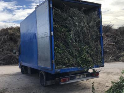 Entleerung, Demontage und Abbruch. Leerung, Räumung und Abbruch.