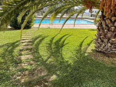 Se alquila Planta Baja en Sant Agustí