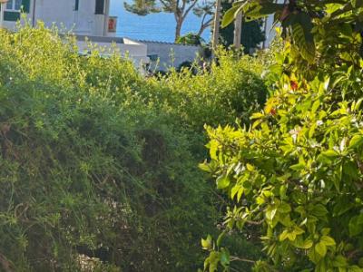 Erdgeschoss in Sant Agustí zu vermieten