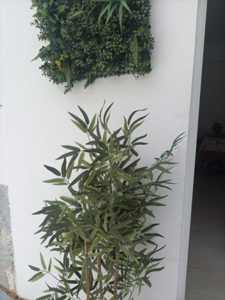 Erdgeschosswohnung am Meer - Cala Major