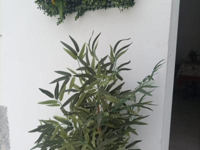 Erdgeschosswohnung am Meer - Cala Major