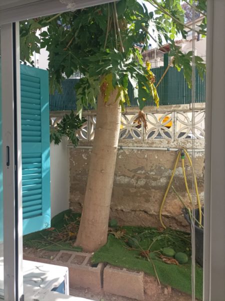 Ground floor apartment Cala Major