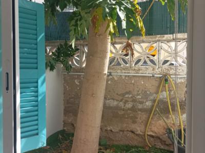 Ground floor apartment Cala Major