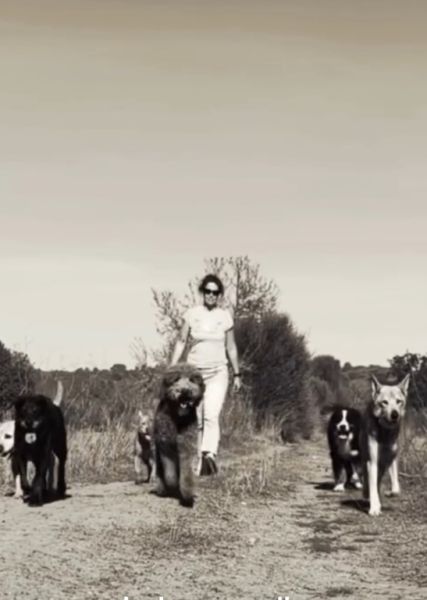 Erziehung für Hunde im Südosten Mallorcas