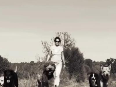 Dog training in the southeast of Mallorca