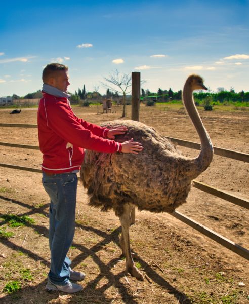 Examinierter Altenpfleger 15 Jahre Berufserfahrung - humorvoll - entspannt - verständnisvoll