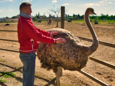 Examinierter Altenpfleger 15 Jahre Berufserfahrung - humorvoll - entspannt - verständnisvoll