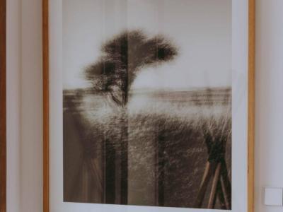 Exclusivas Villas de Nueva Construcción entre Binissalem y Alaró