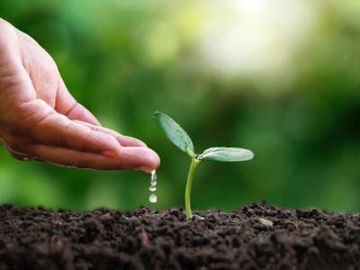 Fachkraft für kommerzielle Qualität Mallorca