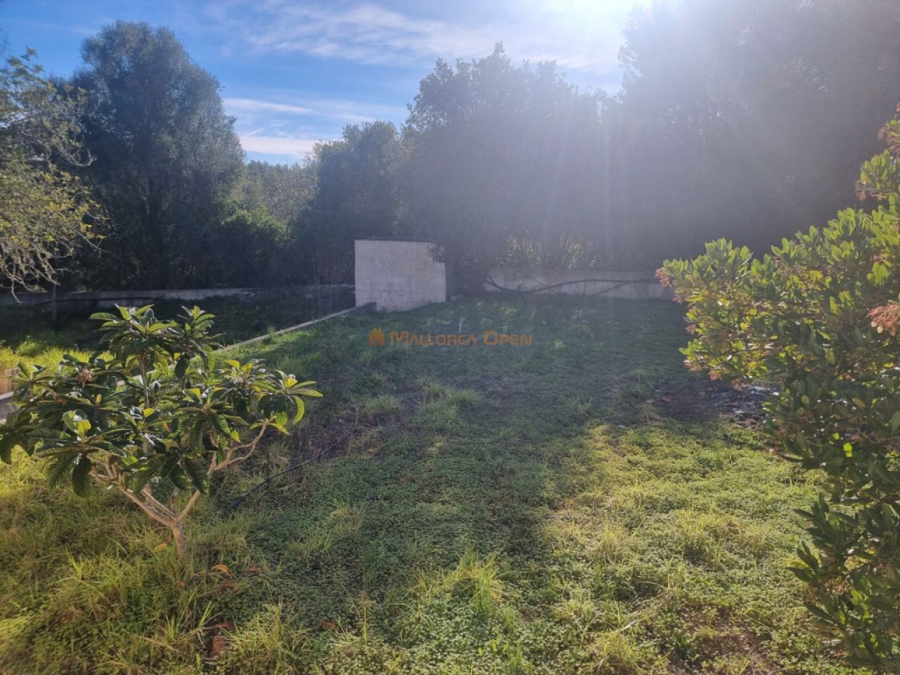 Fantastisches Haus in Arta zu vermieten – 240 m² Wohnfläche