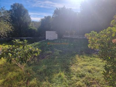 Fantastisches Haus in Arta zu vermieten – 240 m² Wohnfläche