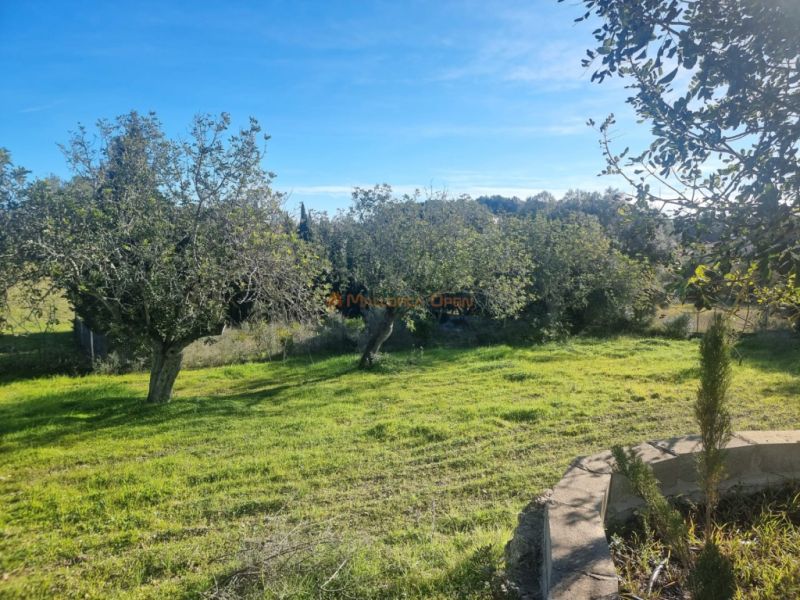 Fantastisches Haus in Arta zu vermieten – 240 m² Wohnfläche