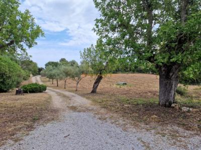 Fantastisches Haus in Arta zu vermieten – 240 m² Wohnfläche