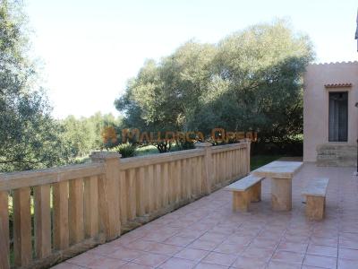 Fantastic house for sale with guest apartment between Manacor and Alcudia