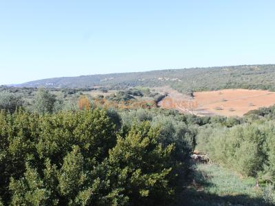 Fantastic house for sale with guest apartment between Manacor and Alcudia