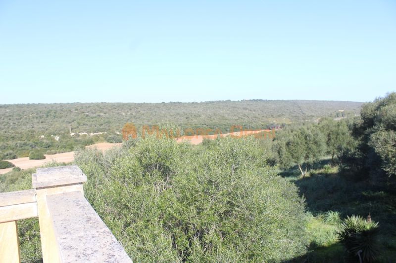 Fantastic house for sale with guest apartment between Manacor and Alcudia