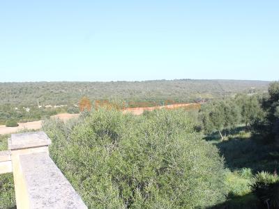 Fantastic house for sale with guest apartment between Manacor and Alcudia