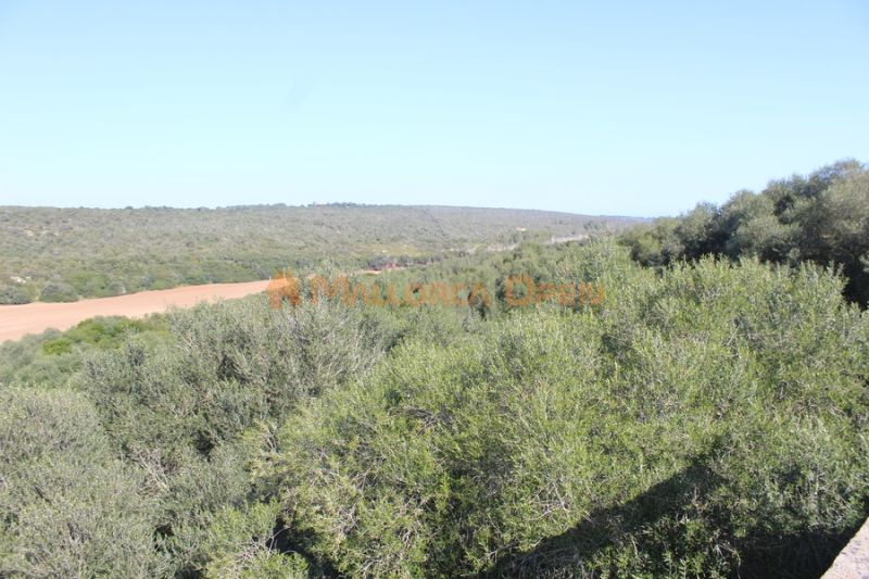 Fantastic house for sale with guest apartment between Manacor and Alcudia