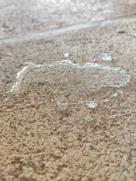 Fertiges Digital-Business-Paket Reinigungsfirma