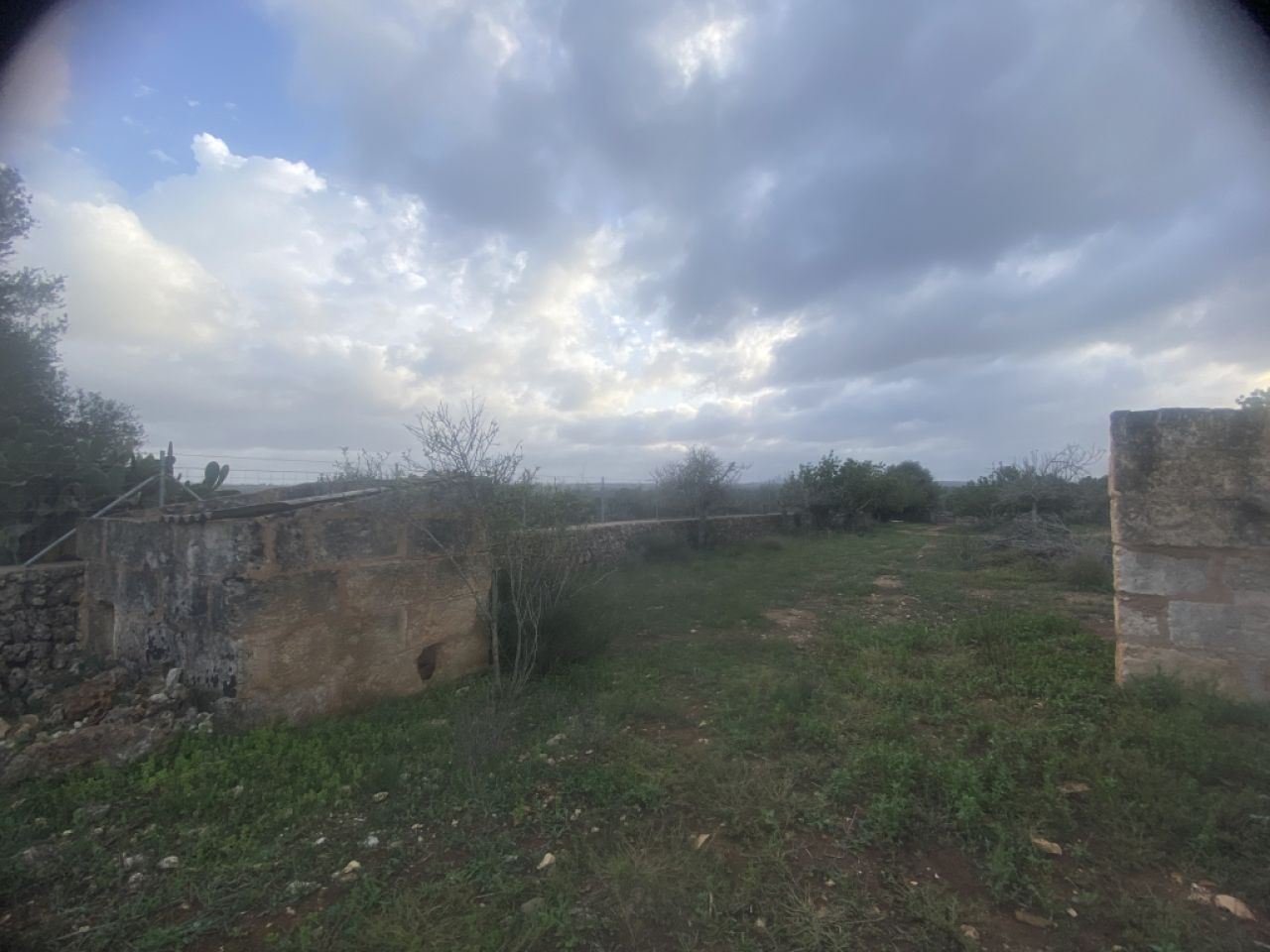 Finca 7600m with generator, in santa margalida