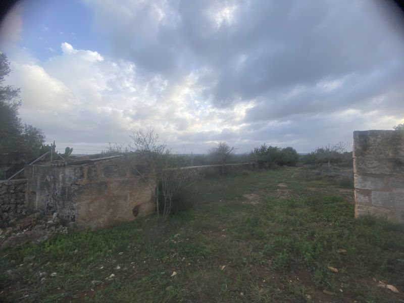 Finca 7600m with generator, in santa margalida