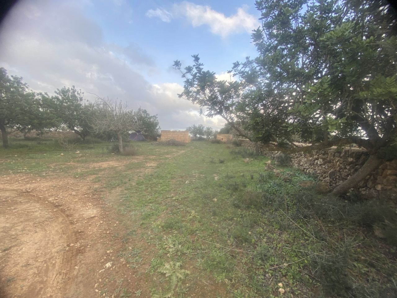 Finca 7600m with generator, in santa margalida
