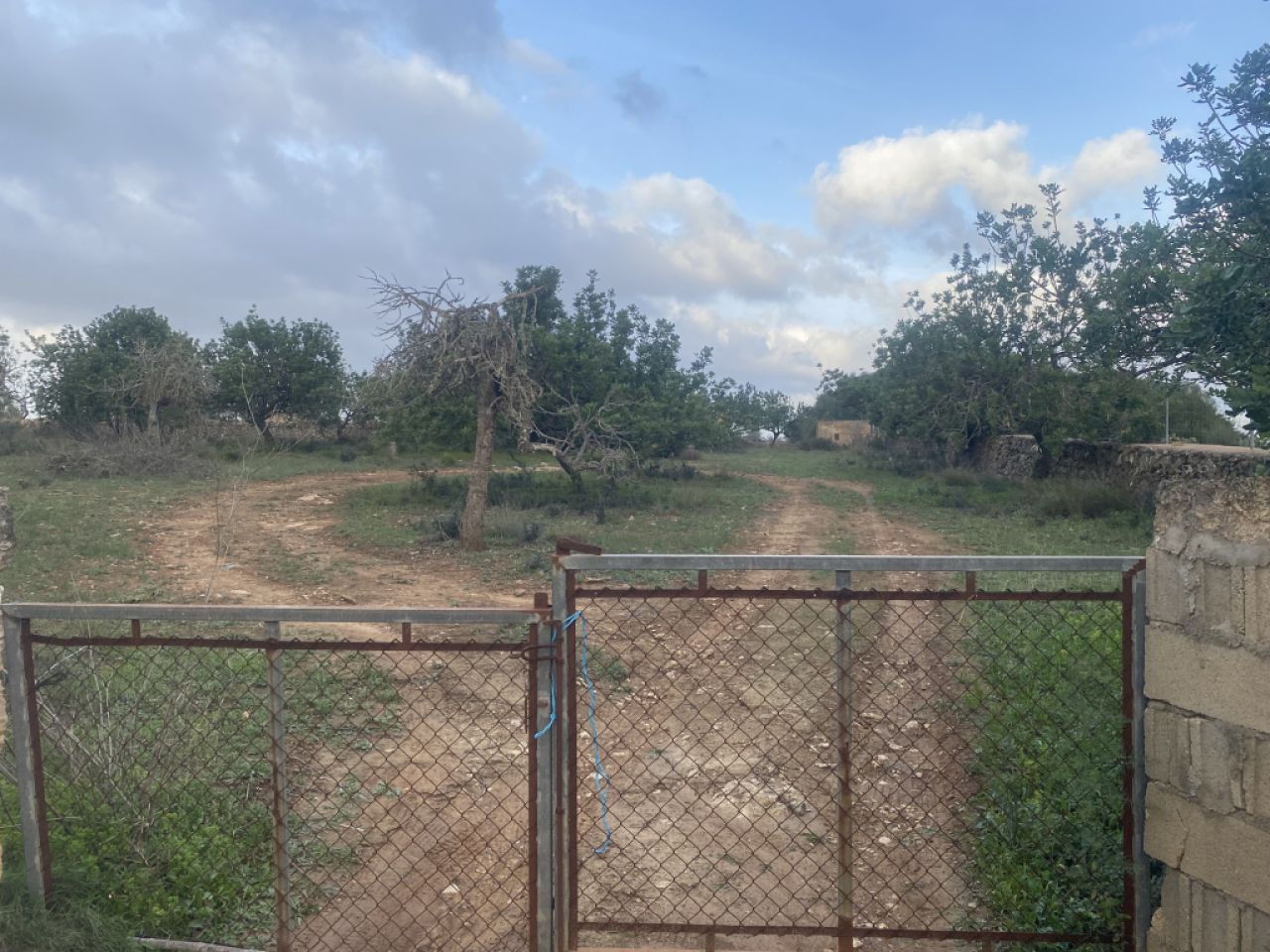 Finca 7600m with generator, in santa margalida