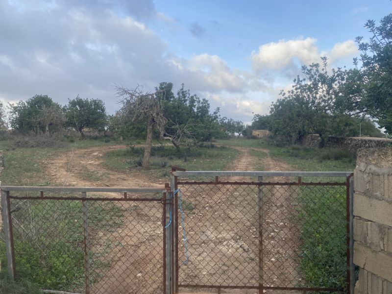 Finca 7600m with generator, in santa margalida