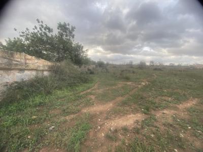 Finca 7600m with generator, in santa margalida