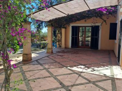 Finca-Apartments bei Manacor
