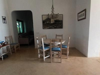 Finca mit sep. Apartment, Garage, Pool und Carport bei Cas Concos --- F 275