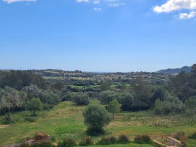 Finca zum Verkauf 3 km von Manacor