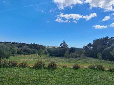 Finca zum Verkauf 3 km von Manacor