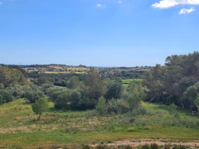 Finca zum Verkauf 3 km von Manacor