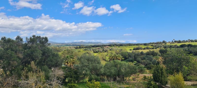 Finca zum Verkauf 3 km von Manacor