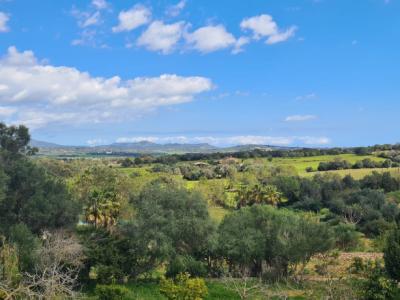 Finca zum Verkauf 3 km von Manacor
