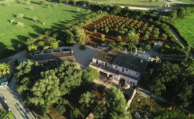 Fincahotel im Südosten der Insel zur Vermietung/Verpachtung abzugeben