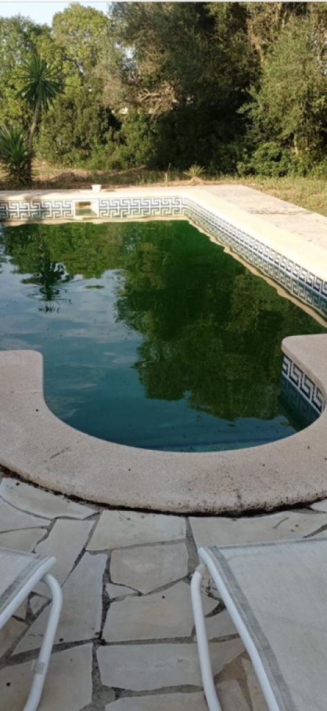 Finca service, pool & garden maintenance, renovations.