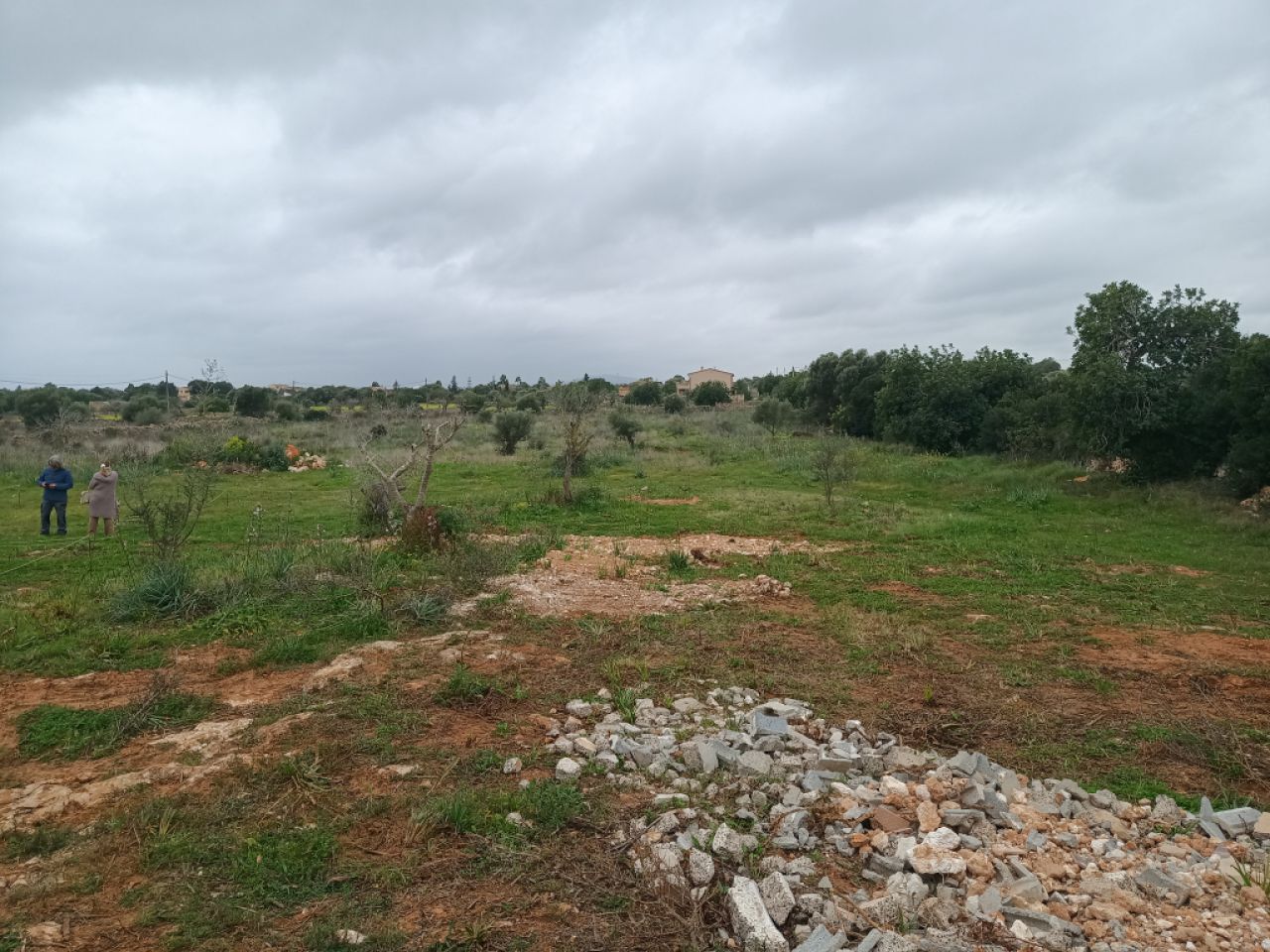 Flaches Grundstück mit Projekt bei Manacor - Portocristo -- T 09 VK