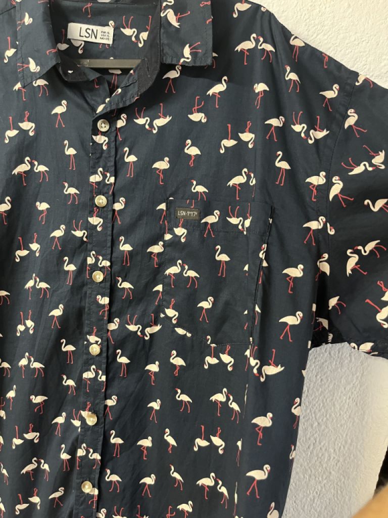 Flamingo short-sleeved shirt, blue, men, XL