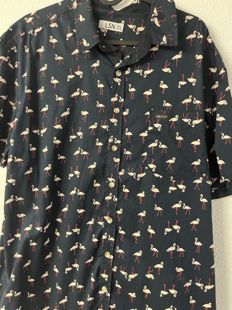 Flamingo short-sleeved shirt, blue, men, XL