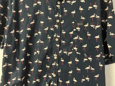 Flamingo short-sleeved shirt, blue, men, XL