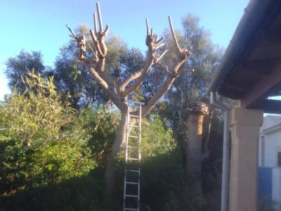 Gartenpflege, Poolwartung und Haushalt