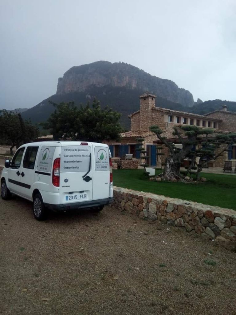 Gardening Technician and Pool Keeper