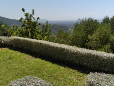 Gardening Technician and Pool Keeper