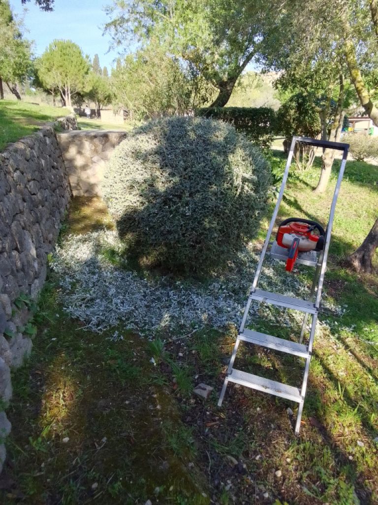 Gardening Technician and Pool Keeper