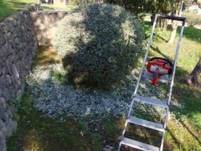 Gardening Technician and Pool Keeper