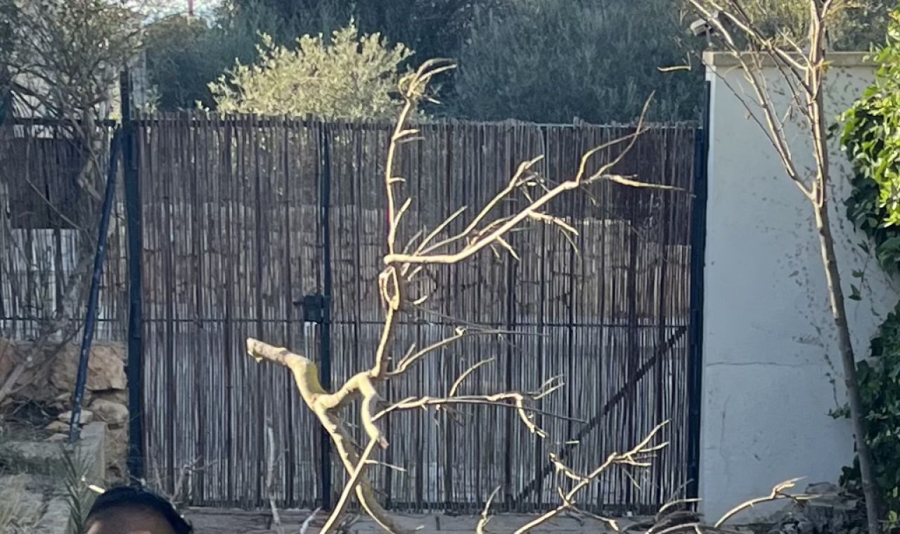 Garden gate, solid iron!